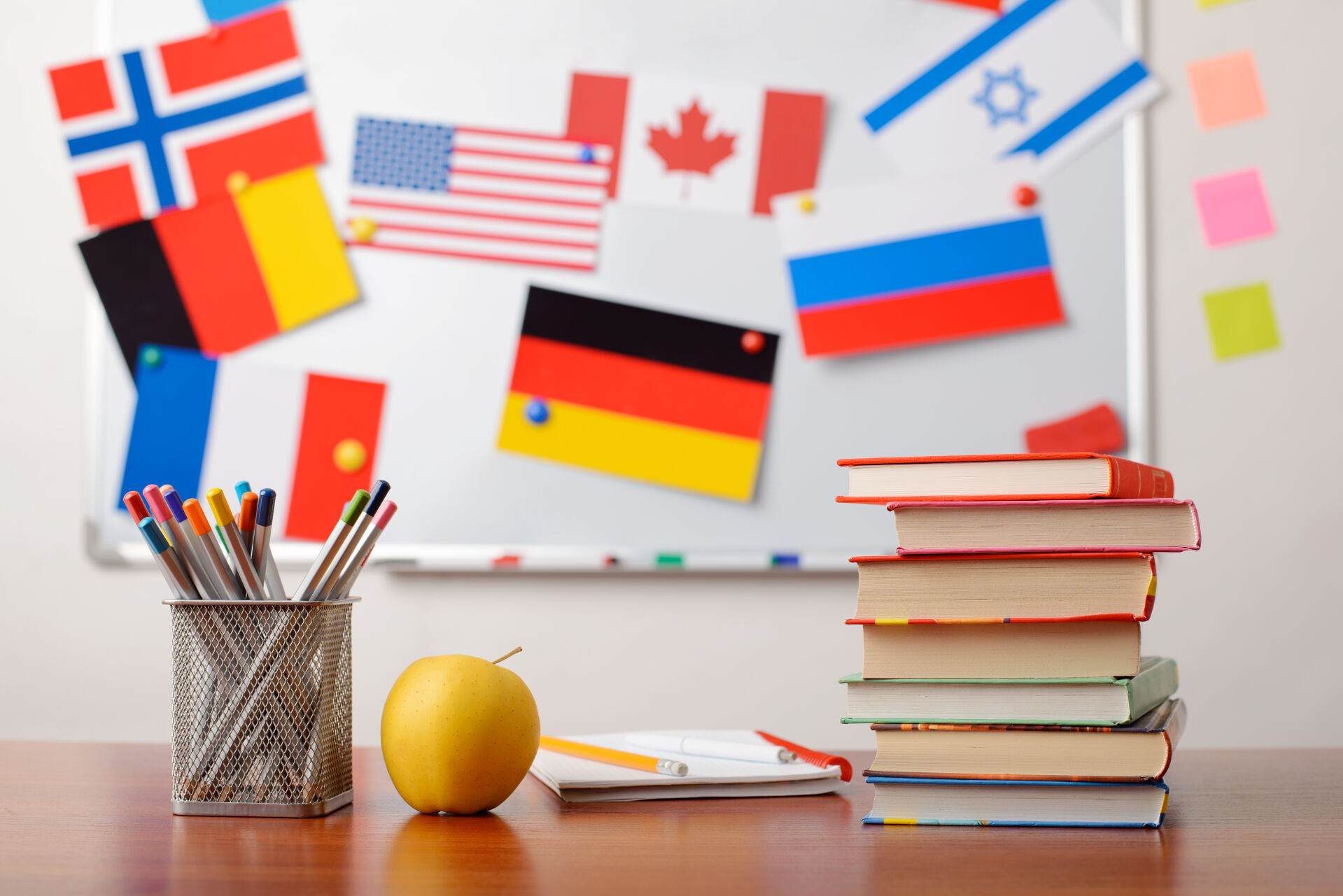 Nou curs a l'Escola Municipal de Formació Continuada