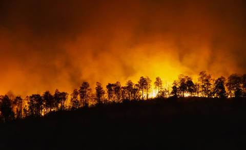 Prevenció d’incendis