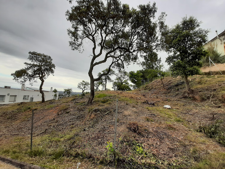 Maçanet reforça el control de més de 800 parcel·les no edificades per garantir-ne la seguretat