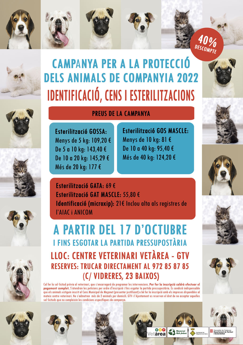 Campanya per a la protecció d'animals de companyia: a partir del 17 d'octubre - 8b84a-esterilitzacio.jpg