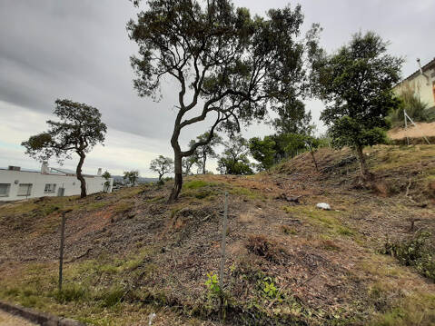 Maçanet reforça el control de més de 800 parcel·les no edificades per garantir-ne la seguretat