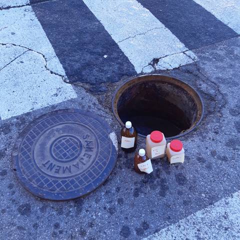 Informació sobre les pudors detectades a les zones de l'Av. Sant Jordi, el C/Puigmarí i algunes zones del casc antic del nucli