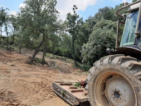 Comencen les tasques de neteja i manteniment de les zones verdes i franges perimetrals del municipi 