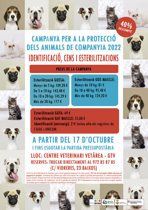 Campanya per a la protecció d'animals de companyia: a partir del 17 d'octubre
