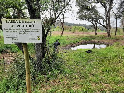 ACTUACIÓ DE REVEGETACIÓ DE LA BASSA DE PUIGTIÓ