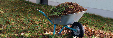 Recollida porta a porta de restes vegetals i poda