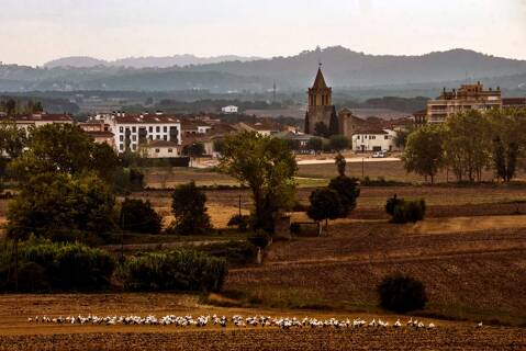 Benvinguts i benvingudes al web de l'Ajuntament de Maçanet de la Selva