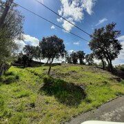 Maçanet reforça el control de més de 800 parcel·les no edificades per garantir-ne la seguretat - 10rosavents-20210514_123031.jpg