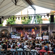 La Festa Major 2025 en imatges! - 1669e98a-0d74-4155-bcf4-33f9256dd6ac.JPG