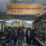 Resum de la Fira de pagès i artesania 2024 - 2024_05_04_fira_pages_ruben_07.jpg