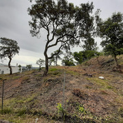 Maçanet reforça el control de més de 800 parcel·les no edificades per garantir-ne la seguretat