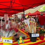 La diada de Sant Jordi 2022 a Maçanet de la Selva - 52f54-E880806D-4E7A-4B7C-AD7E-28BC51FED022.JPG