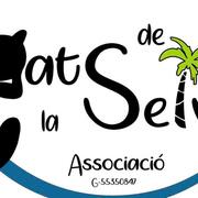 Gats de La Selva