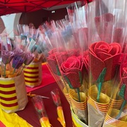 La diada de Sant Jordi 2022 a Maçanet de la Selva - 7e7db-C14C13F9-9A88-4974-A833-FC5C0A44C60B.JPG