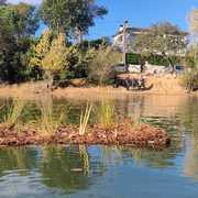 Dues illes de vegetació flotant a la bassa de Montbarbat per naturalitzar l'espai i millorar la seva biodiversitat