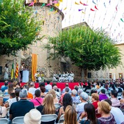 La Festa Major 2025 en imatges! - bae6d872-cf13-48cb-80e9-452b8e273430.JPG