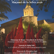 Diumenge de Rams: Benedicció de la Palma