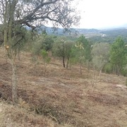 Comencen les tasques de neteja i manteniment de les zones verdes i franges perimetrals del municipi  - d57a5-franges2.jpeg