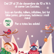 Què fer aquestes festes de Nadal a Maçanet? - d868e-family-days.png