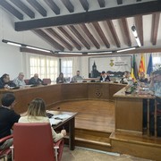 El Ple de Maçanet de la Selva aprova recepcionar el Polígon Industrial de Puigtió - img-9741.jpg