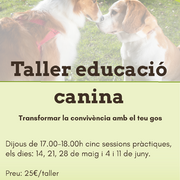 Taller d'educació canina