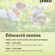Taller d'educació canina (EMFC)